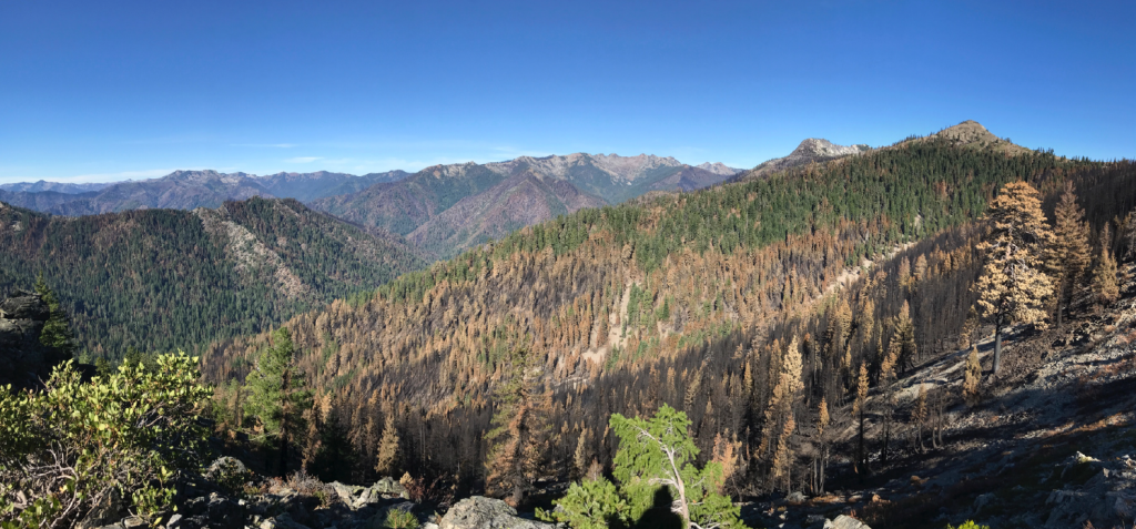 The Wallow Fire burned in a series of uphill runs from the North Fork of the Salmon River to the crest of the Salmon Mountains.